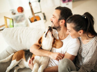 Embellie sur le marché immobilier au 1er trimestre 2024